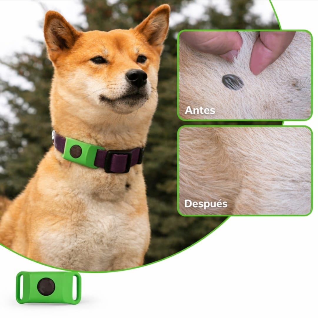 Collar CanCare | 12 meses libre de pulgas y garrapatas